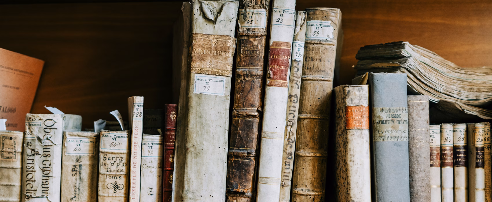 Latin language influence today