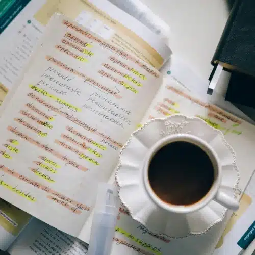Translation Services