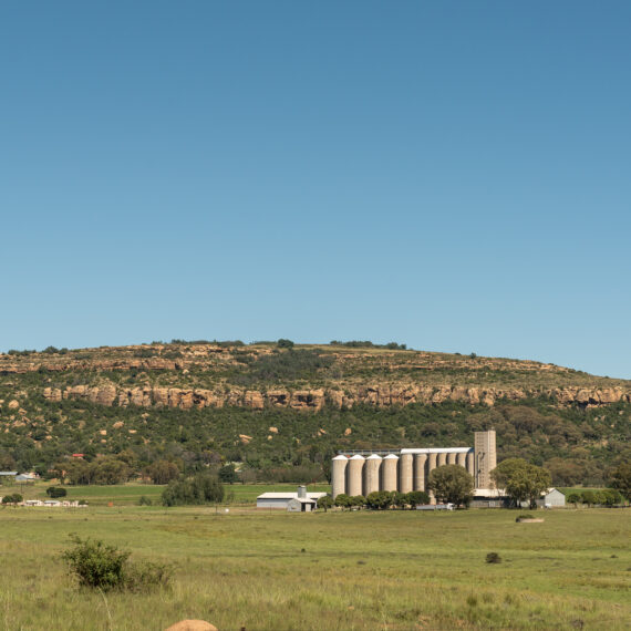 Tshivenda Translation Services