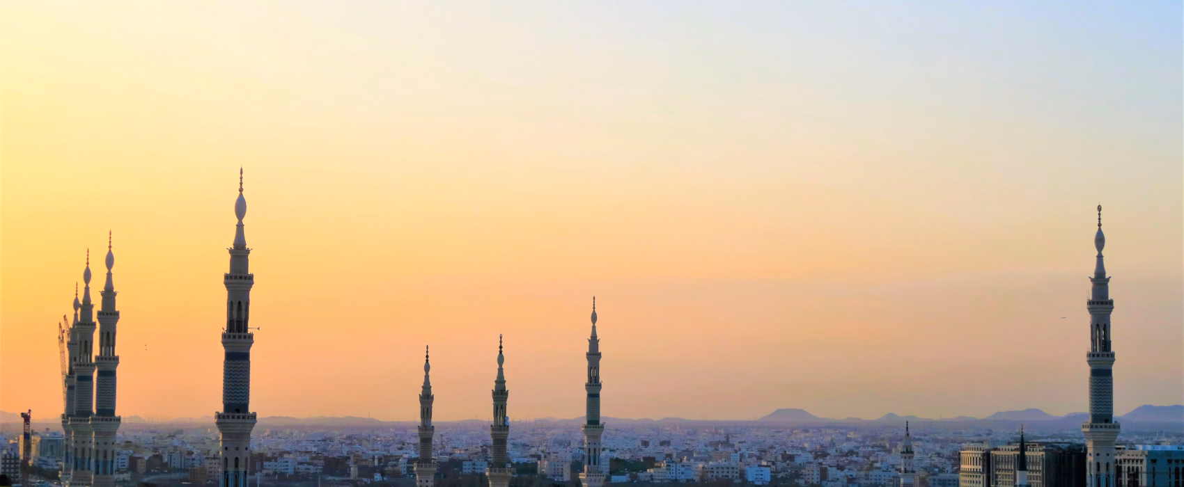 Premium Lingua Arabic Translation Services for Saudi Visas